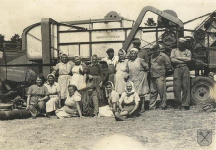 Výmlat na&nbsp;kopečku