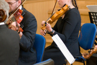 Foto_ 11