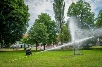 Foto_049
