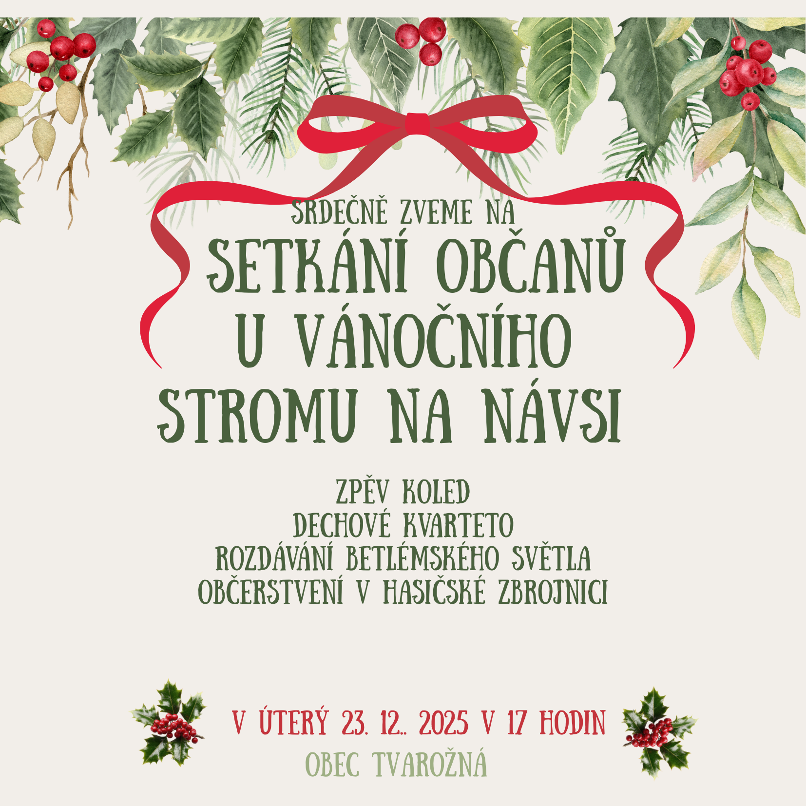 Setkání občanů u vánočního stromu na návsi